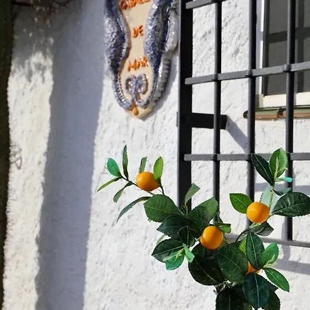 Bed and breakfast Casa Caballito De Mar Boutique Bédar
