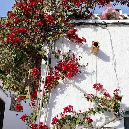 Casa Caballito De Mar Boutique Bed and breakfast *