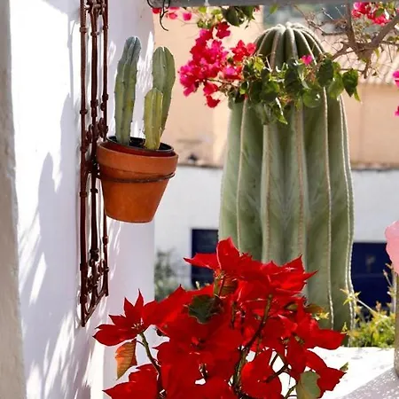 Bed and breakfast Casa Caballito De Mar Boutique