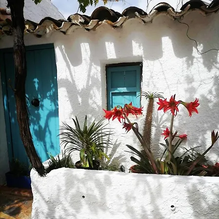 Casa Caballito De Mar Boutique Bed and breakfast Bédar