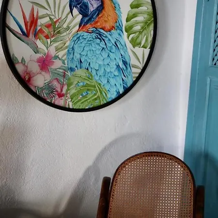 Casa Caballito De Mar Boutique Бедар